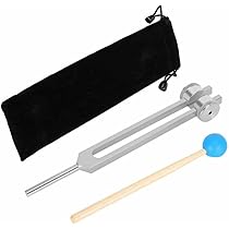 【値下げ】BioSonics 【G 192 】チューニングフォーク Biosonics 192 Hz 